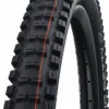 Schwalbe Big Betty Evo Super Ground 24x2,40" Addix Soft E-50 Pneus Pliants